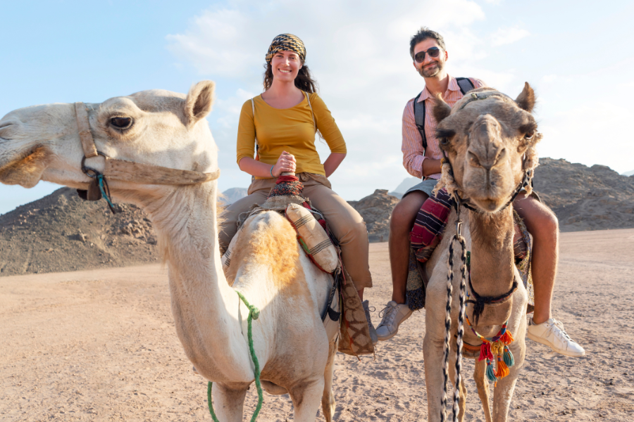 Dubai Desert Experiences - Tour